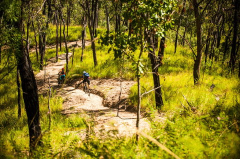 Davies Creek Mountain Bike Park - Accommodation Directory 2