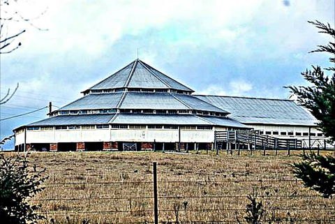 Deeargee Woolshed - Accommodation Directory 0