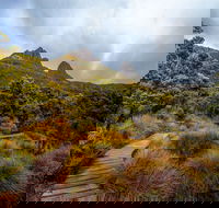 Dove Lake - Accommodation Directory