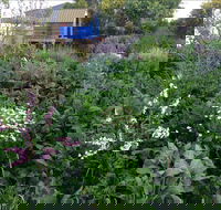Down to Earth Permaculture - Accommodation Directory