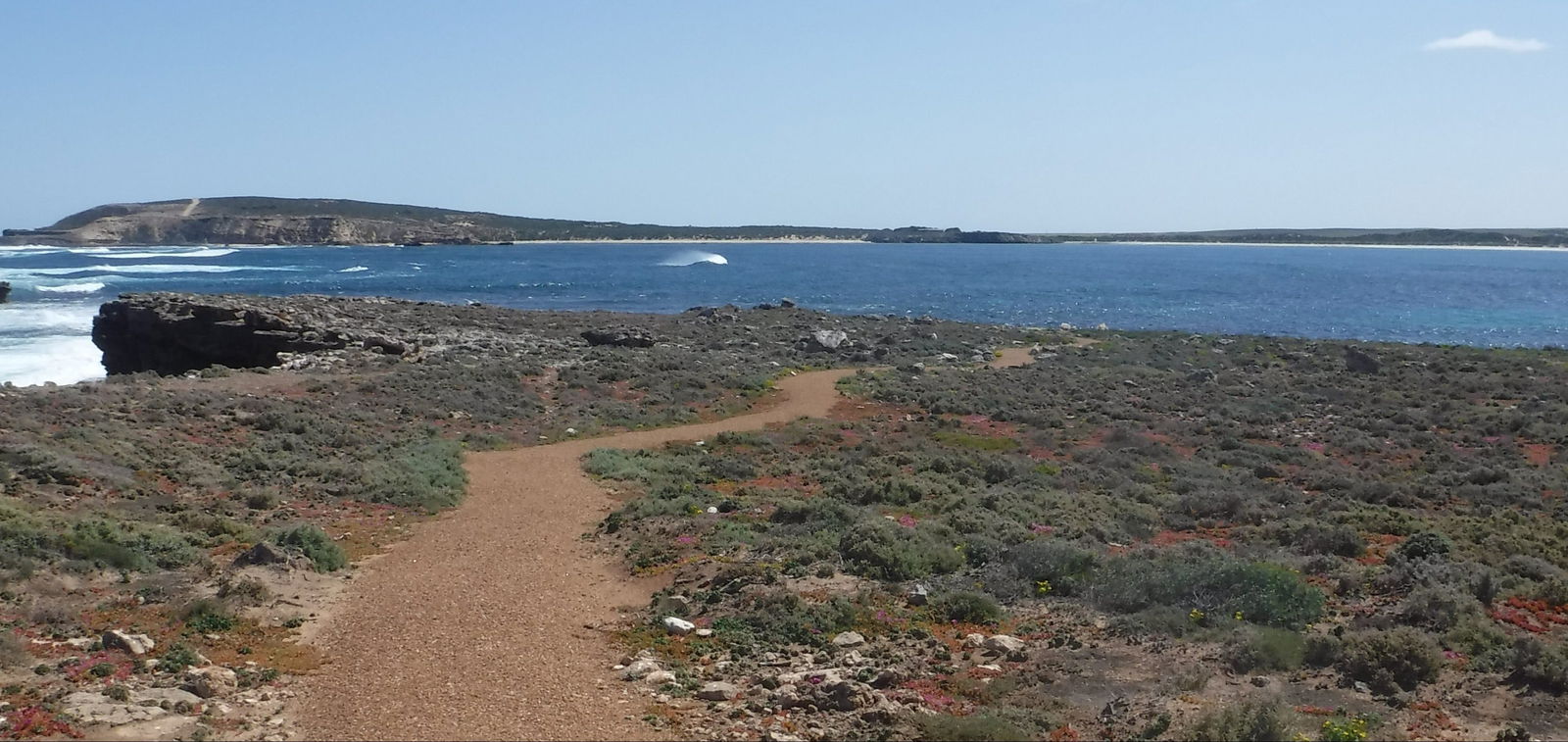 Polda SA Accommodation Directory