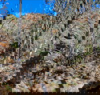 Eualdrie Walking Track - Accommodation Directory
