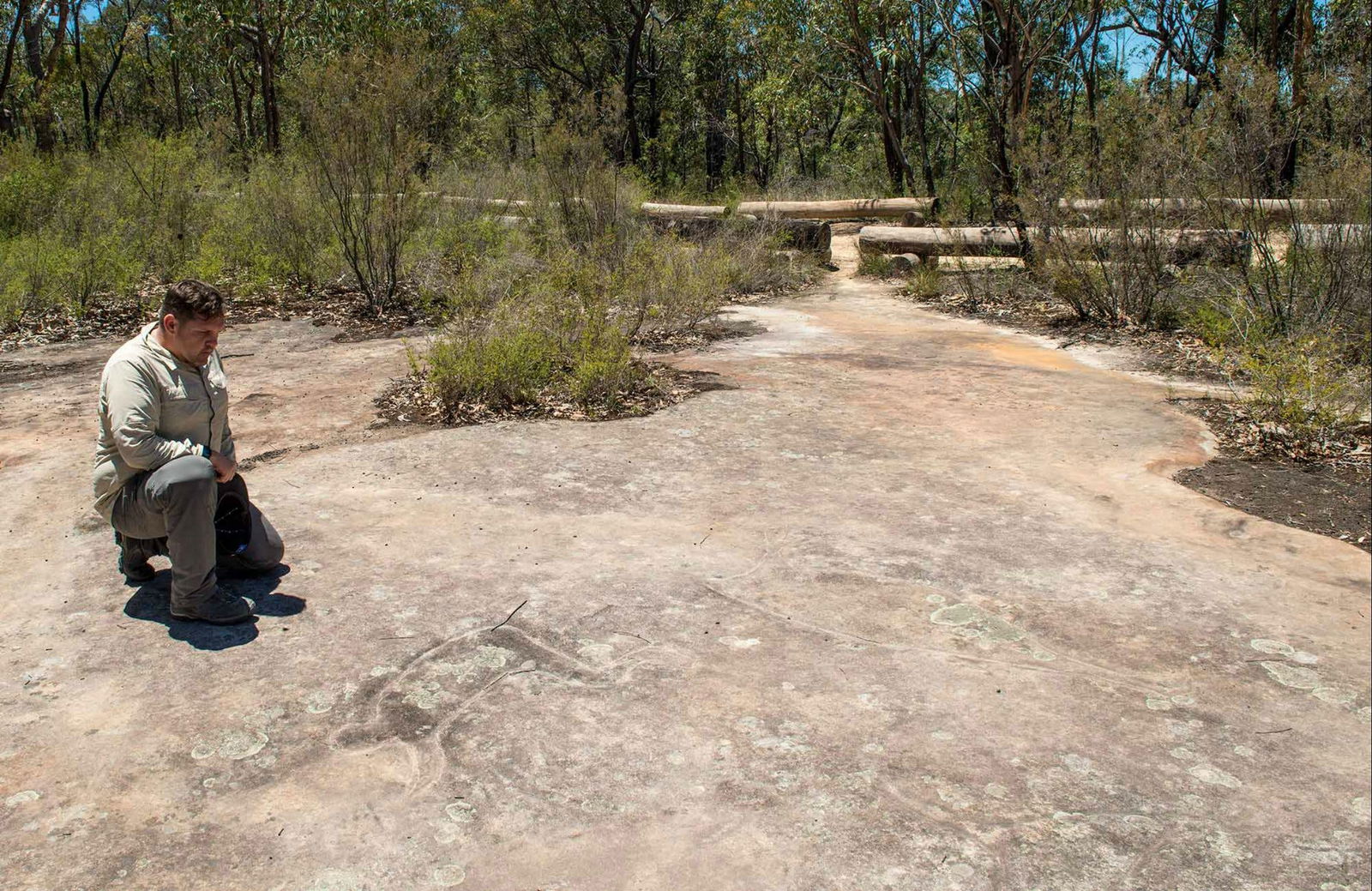 Big Yengo NSW Accommodation Directory