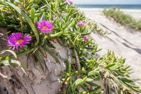 Fort Bribie - Accommodation Directory 0