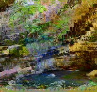 Glimpse of the Outback 5 Day Tour - Roma and Surrounds - Accommodation Directory