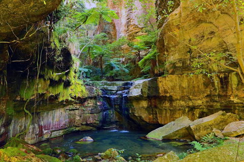 Glimpse Of The Outback 5 Day Tour - Roma And Surrounds - Accommodation Directory 0