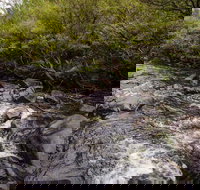 Gloucester River walking track - Accommodation Directory