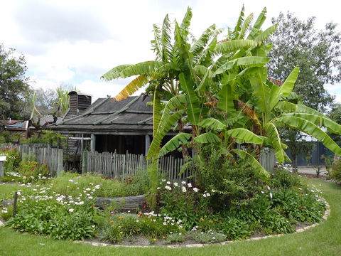 Gold Coast Historical Museum Inc - Accommodation Directory 0
