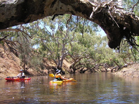 Greenough River Nature Trail - Accommodation Directory 1