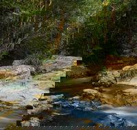 Jumrum Creek Walk Jumrum Creek Conservation Park - Accommodation Directory