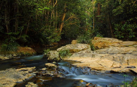 Jumrum Creek Walk, Jumrum Creek Conservation Park - Accommodation Directory 0