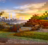 Kings Park and Botanic Garden - Accommodation Directory