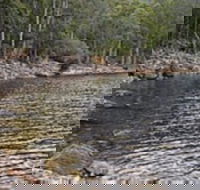 Lake Rowallan - Accommodation Directory