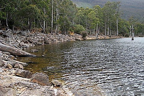 Lake Rowallan - Accommodation Directory 1