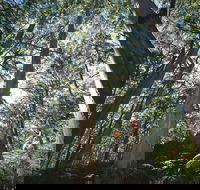 Leeuwin-Naturaliste National Park - Leeuwin - Accommodation Directory