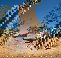 Magnetic Termite Mounds - Accommodation Directory