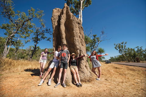 Magnetic Termite Mounds - Accommodation Directory 0