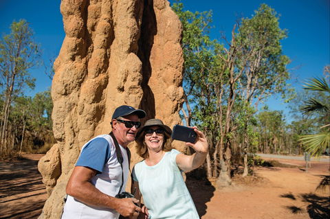 Magnetic Termite Mounds - Accommodation Directory 1