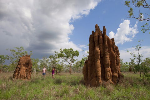 Magnetic Termite Mounds - Accommodation Directory 2
