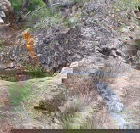 Mill-bullah Walking Track - Accommodation Directory