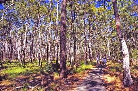 Moogerah Peaks National Park - Accommodation Directory 1