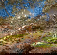 Mount Grenfell Historic Site - Accommodation Directory