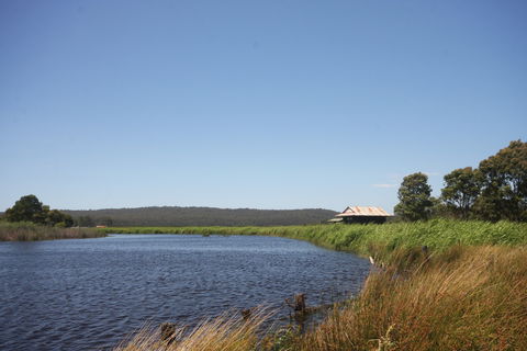 Panboola Wetlands - Accommodation Directory 0