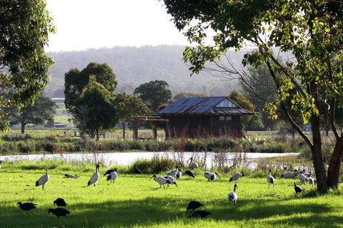 Panboola Wetlands - Accommodation Directory 1