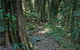 Pholis Gap Walking Track - thumb 0
