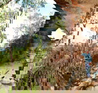 Pilliga Forest - Accommodation Directory