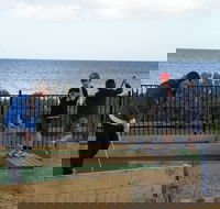 Port Vincent Putt Putt - Accommodation Directory