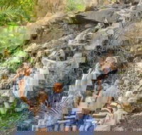 Queens Park Waterfall - Accommodation Directory