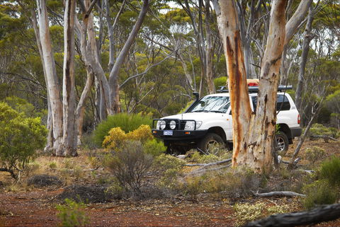 Ravensthorpe Range - Accommodation Directory 0