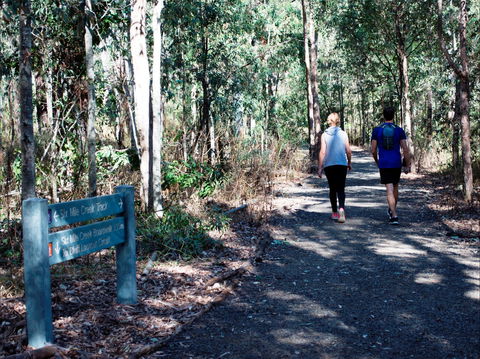 Six Mile Creek, Bluff Lookout And Little White Rock Trails - Accommodation Directory 2