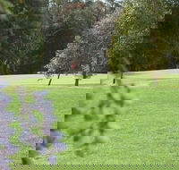 Springwood Country Club - Accommodation Directory
