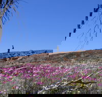 Talgomine Reserve - Accommodation Directory