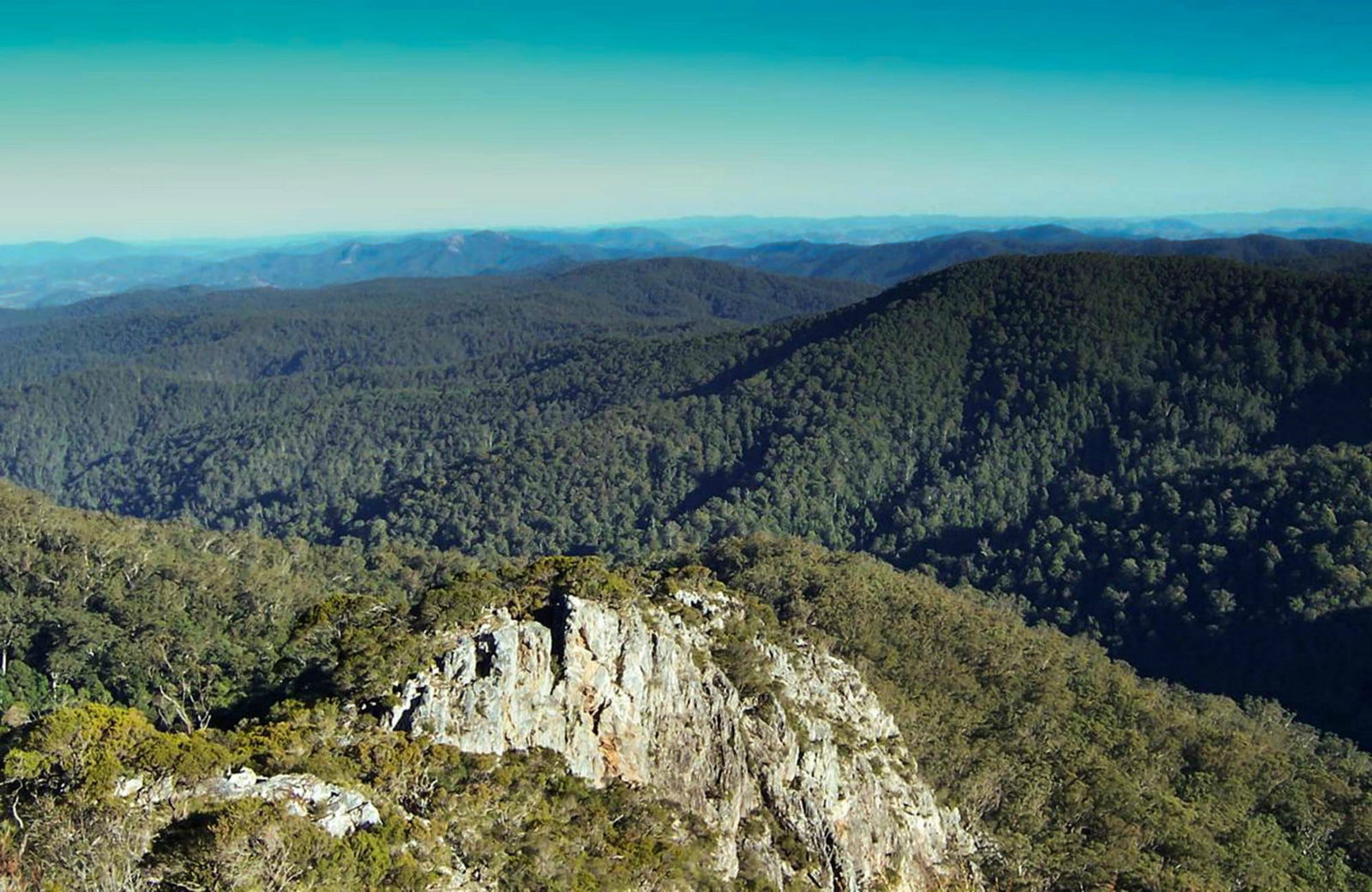 Dingo Forest NSW Accommodation Directory