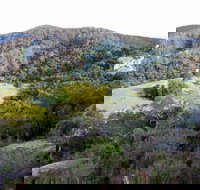 The Bellbird - Accommodation Directory