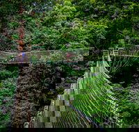 Thunderbird Park  - Tamborine Mountain Gold Coast Region - Accommodation Directory
