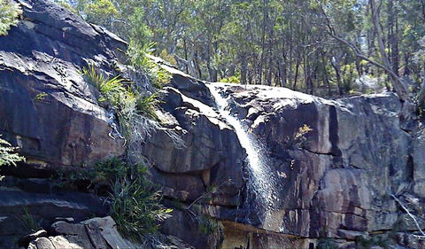 Ugly Corner Falls Walking Track - Accommodation Directory 0