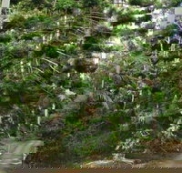 Way Way Creek Road Drive - Accommodation Directory