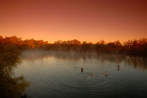 Witjira National Park - Accommodation Directory 0