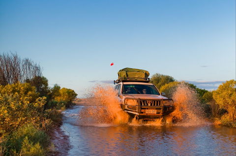 Witjira National Park - Accommodation Directory 1