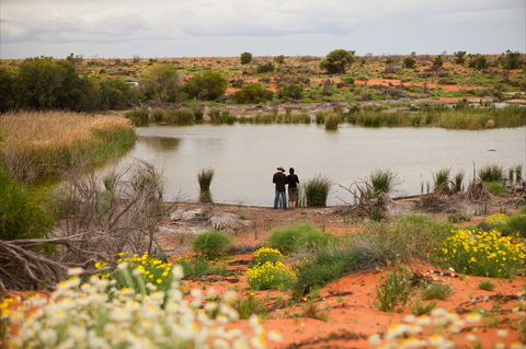 Witjira National Park - Accommodation Directory 2