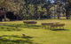 Wombeyan Picnic Area - thumb 0