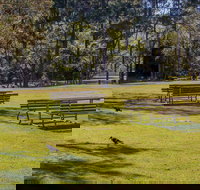 Wombeyan picnic area - Accommodation Directory
