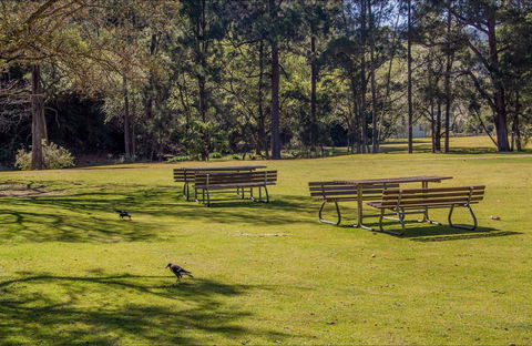 Wombeyan Picnic Area - Accommodation Directory 0