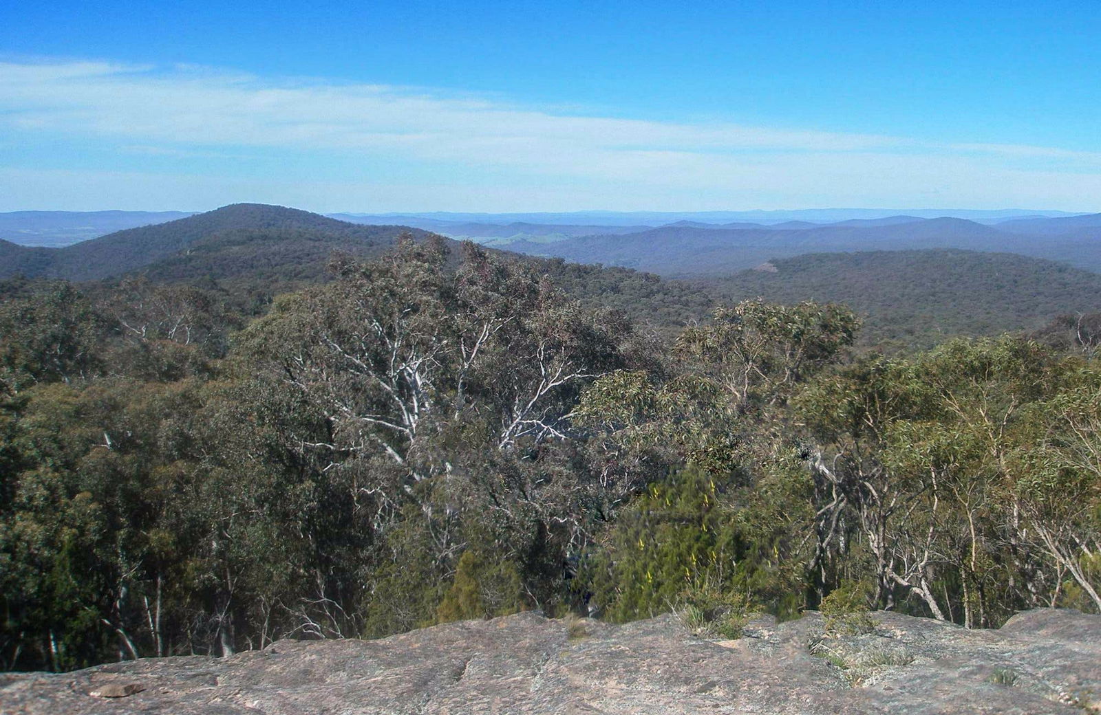 Wantagong NSW Accommodation Directory