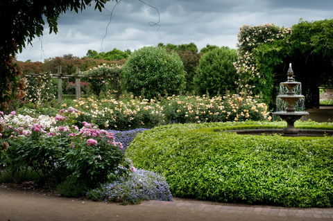 Alowyn Gardens And Nursery - Accommodation Directory 1