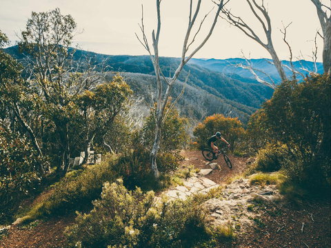 Australian Alpine Epic Mountain Bike Trail - Accommodation Directory 1